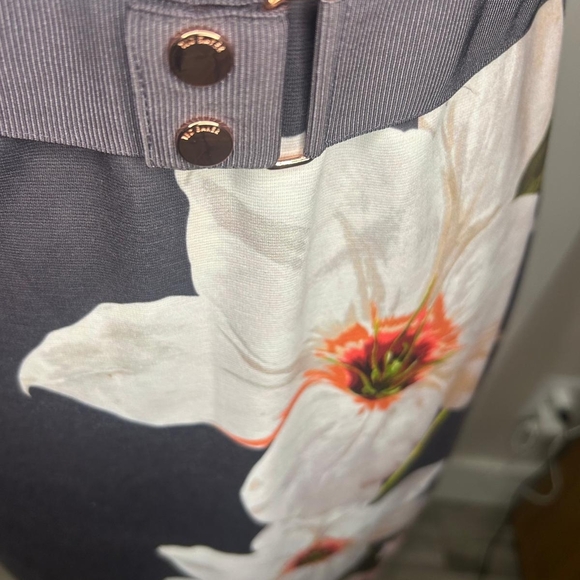 Ted Baker NWT Bisslee Chatsworth Floral Bloom Bodycon Dress Size 2 - Picture 4 of 11